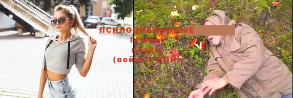прущие крисы Абаза