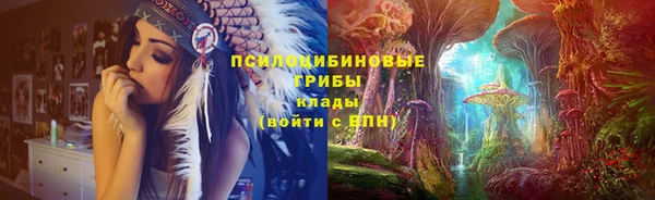 бошки Абинск